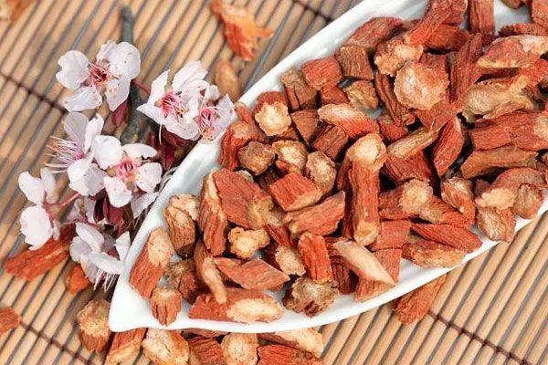 1723801500414814.jpg 丹参0.jpg