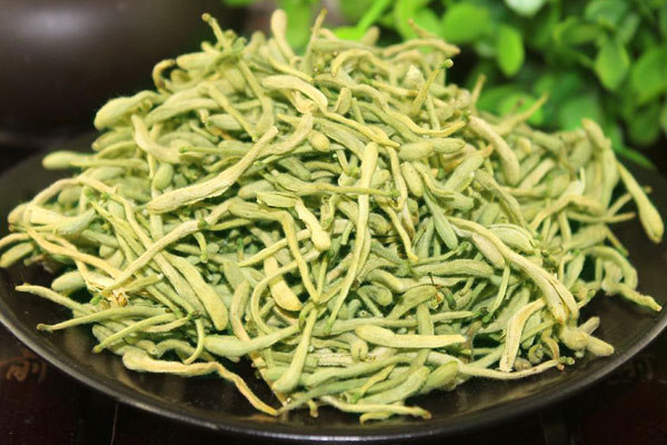 1723806675675169.jpg 金银花0.jpg