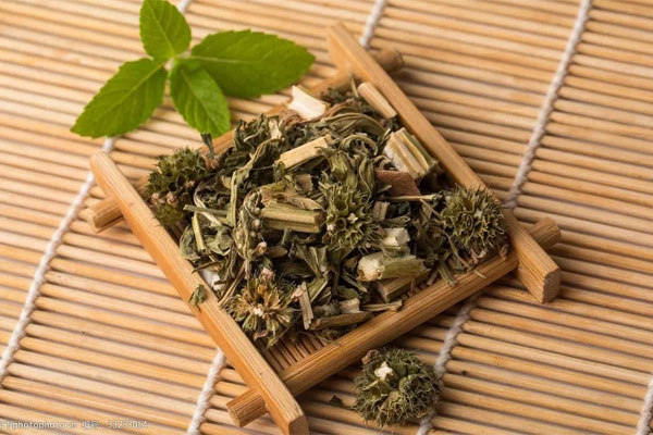 1724035067795309.jpg 益母草0.jpg