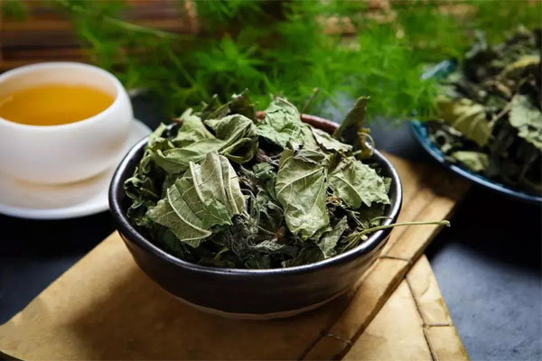 1724035390181380.jpg 桑叶0.jpg